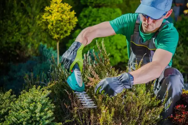 landscaping services Tuckahoe